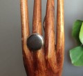 IMG_20250223_102125.jpg