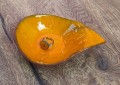 IMG_20260308_114305.jpg