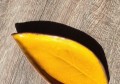 IMG_20260308_114821.jpg