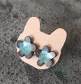 IMG_20250223_095500.jpg
